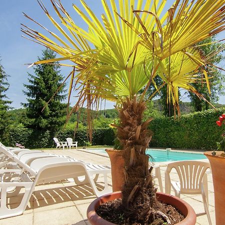 Appealing Apartment In Vezac With Swimming Pool Бейнак-э-Казенак Экстерьер фото