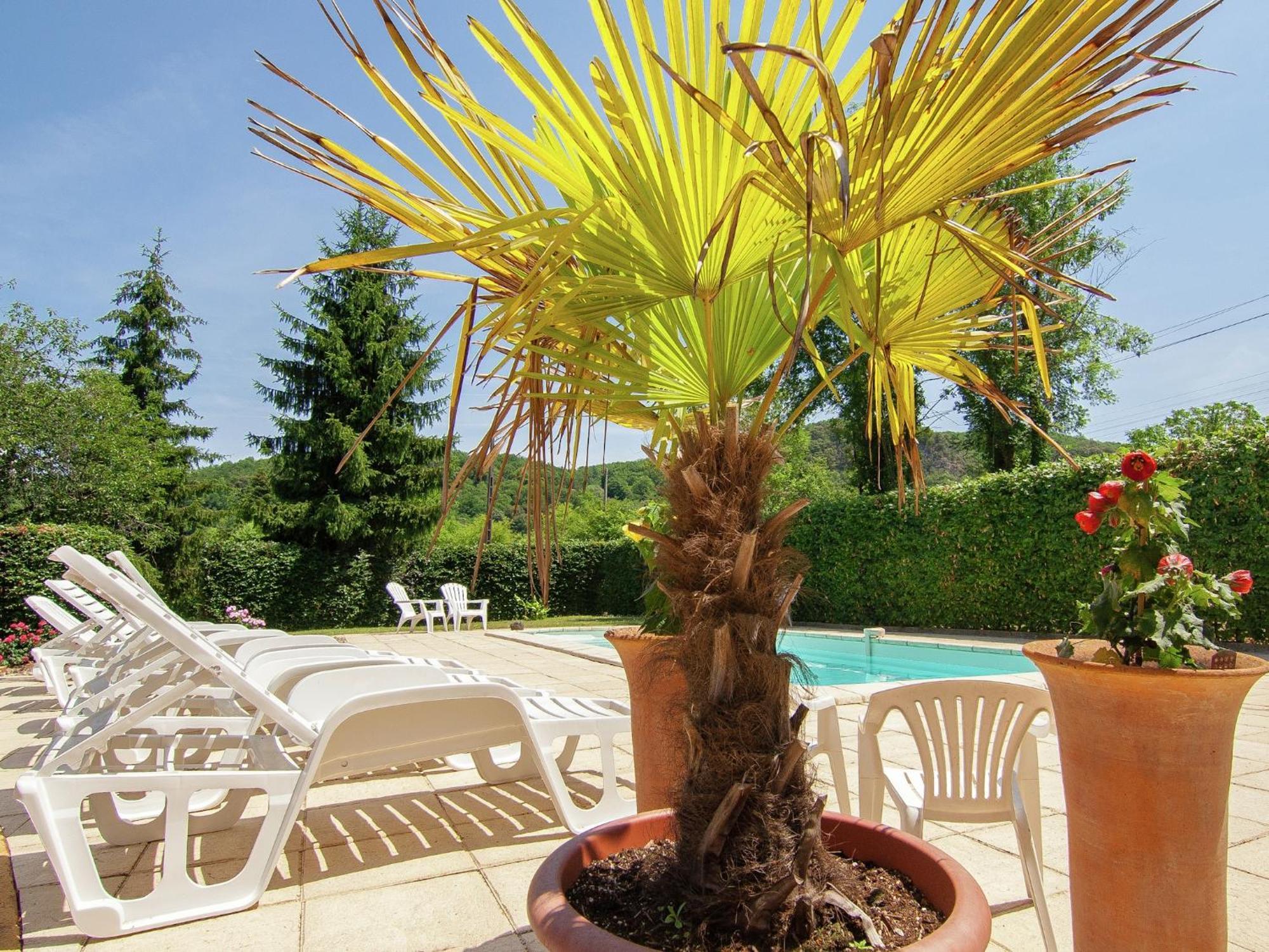 Appealing Apartment In Vezac With Swimming Pool Бейнак-э-Казенак Экстерьер фото